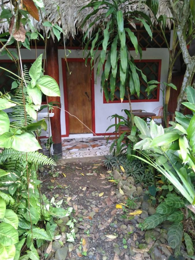 Cabinas Talamanca Sa 호텔 Puerto Viejo de Talamanca 외부 사진