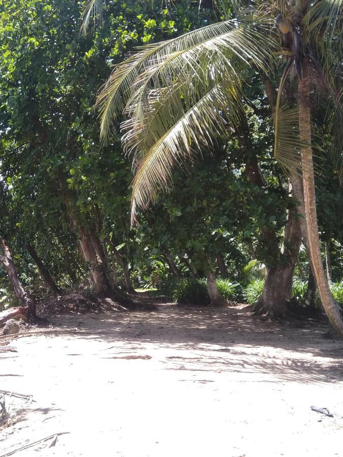 Cabinas Talamanca Sa 호텔 Puerto Viejo de Talamanca 외부 사진