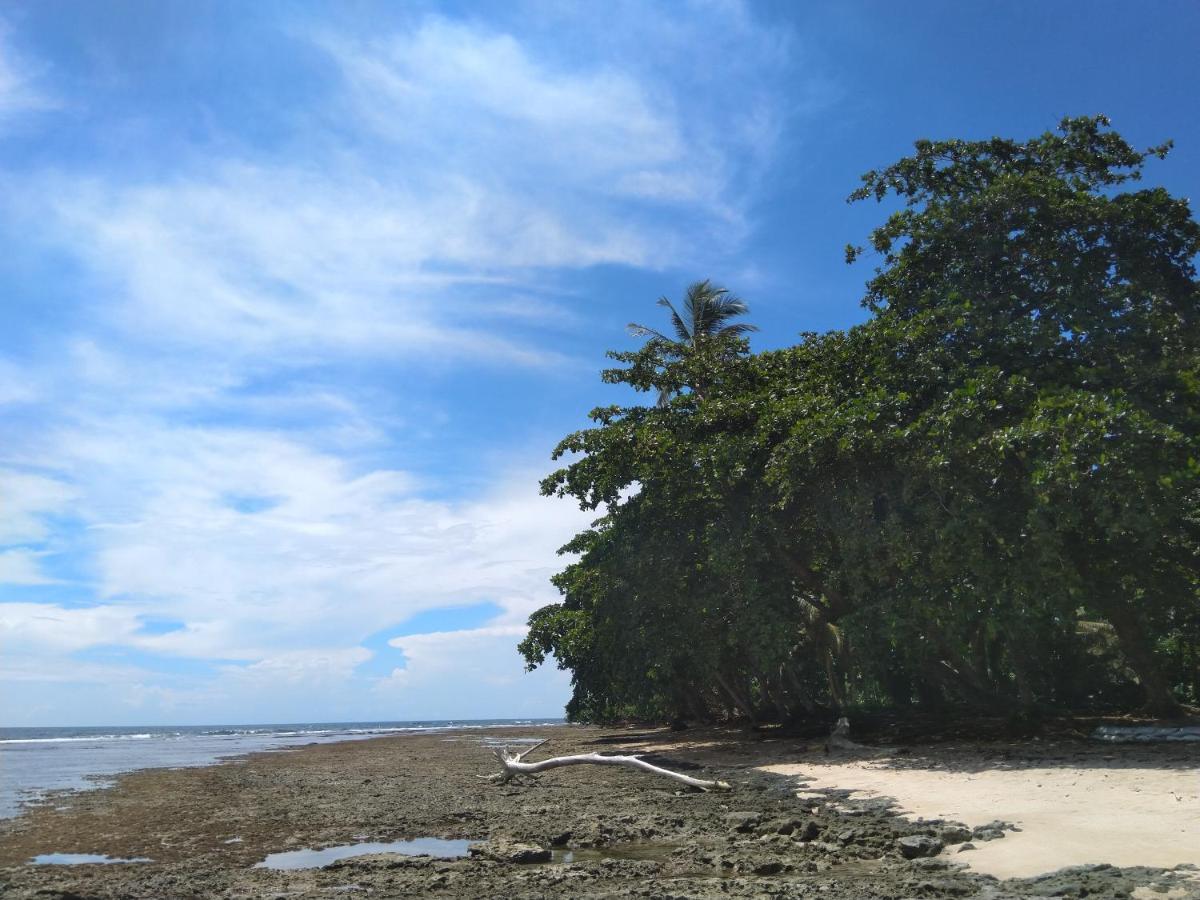Cabinas Talamanca Sa 호텔 Puerto Viejo de Talamanca 외부 사진