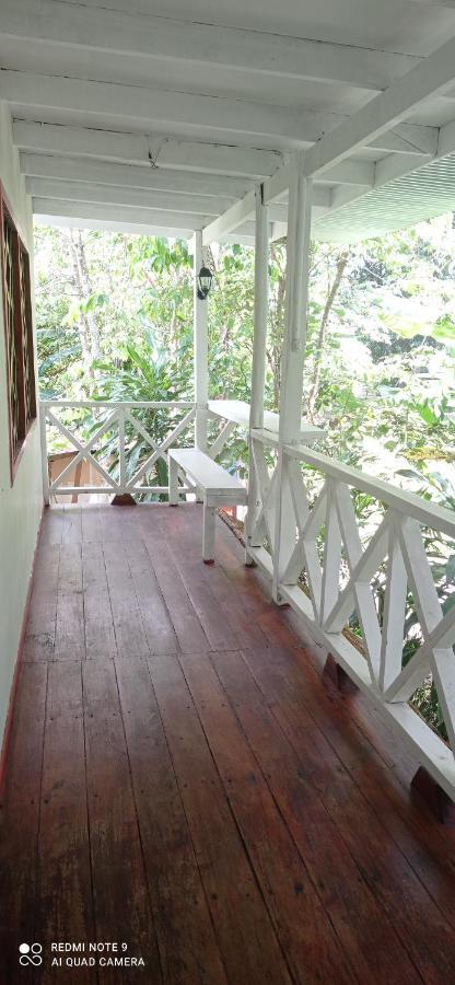 Cabinas Talamanca Sa 호텔 Puerto Viejo de Talamanca 외부 사진